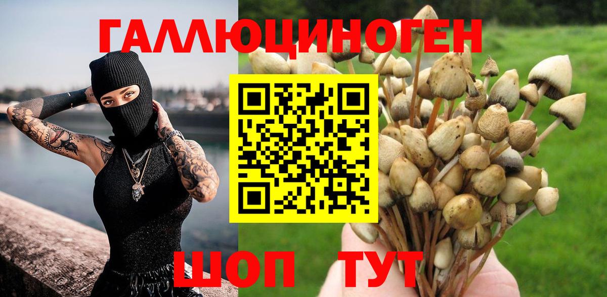 Галлюциногенные грибы Psilocybine cubensis  Вход с VPN  Псилоцибиновые грибы Cubensis  Вятские Поляны 