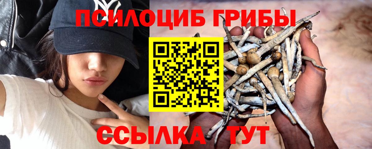 Псилоцибиновые грибы MAGIC MUSHROOMS Вятские Поляны