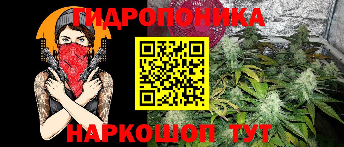 Бошки марихуана семена  Каннабис конопля  Бошки Шишки тримм  Вход с VPN  Вятские Поляны 
